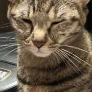 ヒメ日記 2025/11/06 20:26 投稿 ちはや 即アポマダム～名古屋店～