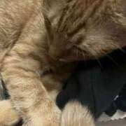 ヒメ日記 2025/11/12 15:51 投稿 ちはや 即アポマダム～名古屋店～