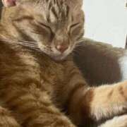 ヒメ日記 2025/11/13 19:21 投稿 ちはや 即アポマダム～名古屋店～