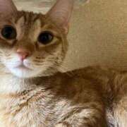 ヒメ日記 2025/11/14 23:21 投稿 ちはや 即アポマダム～名古屋店～