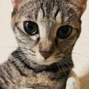 ヒメ日記 2025/11/27 16:01 投稿 ちはや 即アポマダム～名古屋店～