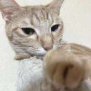 ヒメ日記 2025/12/01 00:01 投稿 ちはや 即アポマダム～名古屋店～