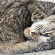 ヒメ日記 2025/12/03 23:36 投稿 ちはや 即アポマダム～名古屋店～