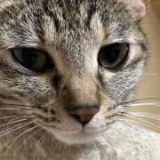 ヒメ日記 2025/12/05 00:31 投稿 ちはや 即アポマダム～名古屋店～