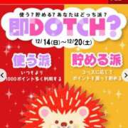 ヒメ日記 2025/12/17 16:51 投稿 ちはや 即アポマダム～名古屋店～