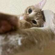 ヒメ日記 2025/12/18 00:41 投稿 ちはや 即アポマダム～名古屋店～