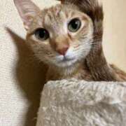 ヒメ日記 2025/12/21 00:41 投稿 ちはや 即アポマダム～名古屋店～