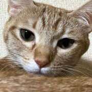 ヒメ日記 2025/12/25 16:56 投稿 ちはや 即アポマダム～名古屋店～