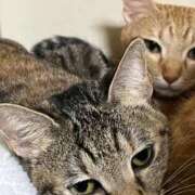 ヒメ日記 2025/12/30 22:10 投稿 ちはや 即アポマダム～名古屋店～