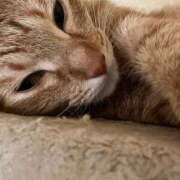 ヒメ日記 2025/12/30 23:51 投稿 ちはや 即アポマダム～名古屋店～