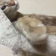 ヒメ日記 2026/01/03 21:22 投稿 ちはや 即アポマダム～名古屋店～