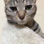 ヒメ日記 2026/01/03 21:51 投稿 ちはや 即アポマダム～名古屋店～