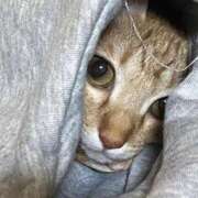 ヒメ日記 2026/01/07 12:09 投稿 ちはや 即アポマダム～名古屋店～