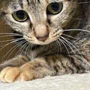 ヒメ日記 2026/01/13 02:51 投稿 ちはや 即アポマダム～名古屋店～