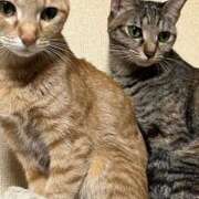 ヒメ日記 2026/01/14 13:47 投稿 ちはや 即アポマダム～名古屋店～