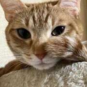 ヒメ日記 2026/01/30 23:51 投稿 ちはや 即アポマダム～名古屋店～