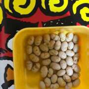 ヒメ日記 2026/02/03 22:26 投稿 ちはや 即アポマダム～名古屋店～