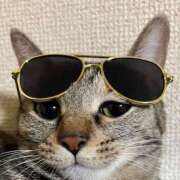 ヒメ日記 2026/02/21 23:01 投稿 ちはや 即アポマダム～名古屋店～