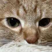 ヒメ日記 2026/03/07 22:13 投稿 ちはや 即アポマダム～名古屋店～