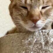 ヒメ日記 2026/03/10 00:01 投稿 ちはや 即アポマダム～名古屋店～