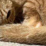 ヒメ日記 2026/03/13 22:51 投稿 ちはや 即アポマダム～名古屋店～