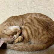 ヒメ日記 2026/03/14 10:35 投稿 ちはや 即アポマダム～名古屋店～