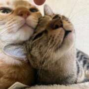 ヒメ日記 2026/03/19 21:58 投稿 ちはや 即アポマダム～名古屋店～