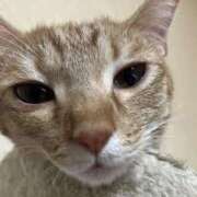 ヒメ日記 2026/03/20 23:58 投稿 ちはや 即アポマダム～名古屋店～