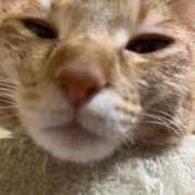 ヒメ日記 2026/03/23 22:51 投稿 ちはや 即アポマダム～名古屋店～