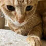 ヒメ日記 2026/04/14 21:51 投稿 ちはや 即アポマダム～名古屋店～