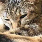ヒメ日記 2026/08/14 07:31 投稿 ちはや 即アポマダム～名古屋店～