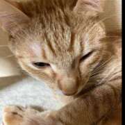 ヒメ日記 2024/12/29 03:41 投稿 ちはや 即アポ奥さん〜名古屋店〜