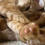 ヒメ日記 2025/01/30 00:41 投稿 ちはや 即アポ奥さん〜名古屋店〜