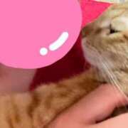 ヒメ日記 2025/01/31 00:31 投稿 ちはや 即アポ奥さん〜名古屋店〜