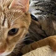 ヒメ日記 2025/02/19 01:50 投稿 ちはや 即アポ奥さん〜名古屋店〜