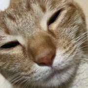 ヒメ日記 2025/03/08 03:51 投稿 ちはや 即アポ奥さん〜名古屋店〜