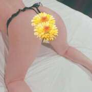 ヒメ日記 2025/03/22 12:08 投稿 ちはや 即アポ奥さん〜名古屋店〜