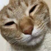 ヒメ日記 2025/03/30 01:21 投稿 ちはや 即アポ奥さん〜名古屋店〜