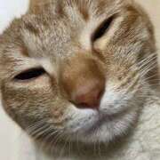 ヒメ日記 2025/04/06 23:11 投稿 ちはや 即アポ奥さん〜名古屋店〜