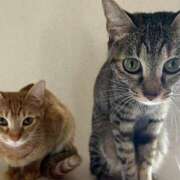 ヒメ日記 2025/04/13 23:32 投稿 ちはや 即アポ奥さん〜名古屋店〜