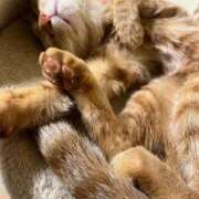 ヒメ日記 2025/04/21 00:21 投稿 ちはや 即アポ奥さん〜名古屋店〜