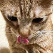 ヒメ日記 2025/05/03 01:21 投稿 ちはや 即アポ奥さん〜名古屋店〜