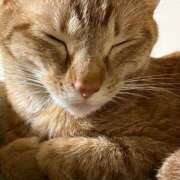 ヒメ日記 2025/05/05 23:38 投稿 ちはや 即アポ奥さん〜名古屋店〜