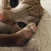 ヒメ日記 2025/05/12 13:21 投稿 ちはや 即アポ奥さん〜名古屋店〜