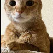 ヒメ日記 2025/05/25 22:29 投稿 ちはや 即アポ奥さん〜名古屋店〜