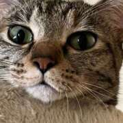 ヒメ日記 2025/05/29 18:31 投稿 ちはや 即アポ奥さん〜名古屋店〜