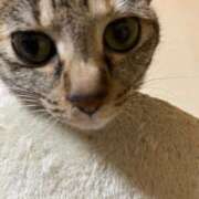 ヒメ日記 2025/06/03 22:41 投稿 ちはや 即アポ奥さん〜名古屋店〜