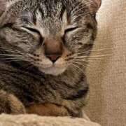 ヒメ日記 2025/06/11 21:41 投稿 ちはや 即アポ奥さん〜名古屋店〜