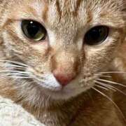 ヒメ日記 2025/06/27 18:31 投稿 ちはや 即アポ奥さん〜名古屋店〜