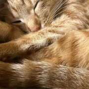 ヒメ日記 2025/07/05 02:31 投稿 ちはや 即アポ奥さん〜名古屋店〜